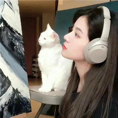 冷面天使